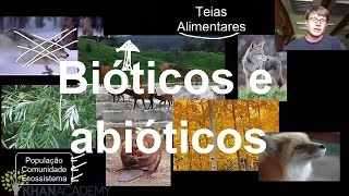 Bióticos e abióticos  Ecologia  Biologia  Khan Academy [upl. by Atekehs]