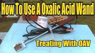 How To Use A Oxalic Acid Wand Treating With OAV [upl. by Armat]