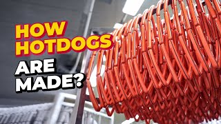 HOTDOGS Production – INSIDE Hotdog Factory [upl. by Egroeg]