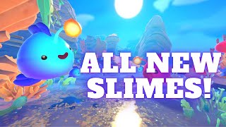 Slime Rancher 2  ALL NEW SLIMES [upl. by Erastatus]