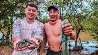 Pescando Gran Cantidad de Camarones Con Carnada Mágica Y Cocinando [upl. by Erbe]