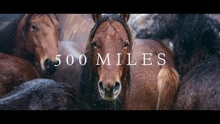 500 Miles  The Story of Ranchers and Horses 2017 [upl. by Lonee167]