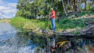 Pesca Y Cocina Ancestral Usando Lanza Así Pescaban Los Mayas [upl. by Lecia]