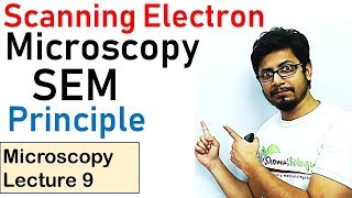 Scanning electron microscope principle working SEM [upl. by Gottlieb995]