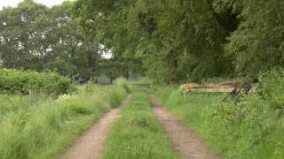 Nature Ambience Old Country Trail with Bird and Cattle Sounds [upl. by Enrobyalc959]