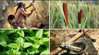 Best 7 Plants Native Americans Use To Cure Everything  Herbal Remedies [upl. by Ahtera]