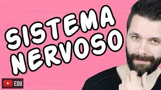 SISTEMA NERVOSO  FISIOLOGIA  Aula  Biologia com Samuel Cunha [upl. by Sset]