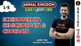 Echinodermata Hemichordata and Chordata  Animal Kingdom CBSE Class 11 Biology Chapter 4NEET 2020 [upl. by Liva]