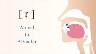 r̥  unvoiced apical alveolar trill [upl. by Ailemaj]