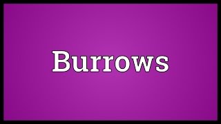 Burrows Meaning [upl. by Burnley]