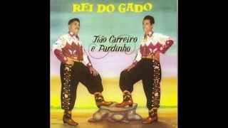 ♫ RAÍZES SERTANEJAS ♫ 25 Sucessos Vol 1 1960 a 1970 As Lendas Vivas da Músicas Raíz Sertaneja [upl. by Rahm210]