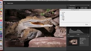 Canon Digital Photo Professional DPP 4 Software Overview and Interface Tour [upl. by Novej]