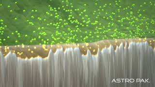 Astro Pak  Microscopic View of Electropolishing  Narrated [upl. by Putnem]