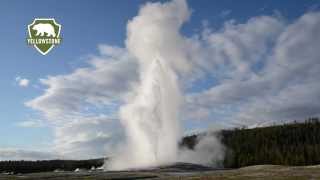 Old Faithful Geyser in Yellowstone National Park [upl. by Glennie]