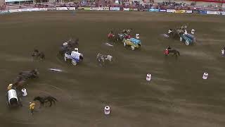 PONOKA STAMPEDE 2024 Day 1 [upl. by Earased]