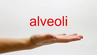 How to Pronounce alveoli  American English [upl. by Declan]