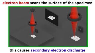 Electron Microscopy TEM and SEM [upl. by Imar161]