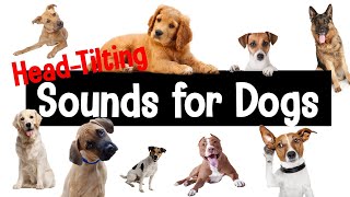 Sounds for Dogs  HeadTilting Sounds Your Dog Will Love [upl. by Tsew]