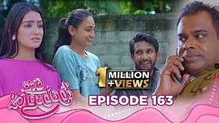 Paata Kurullo  පාට කුරුල්ලෝ  Episode 163  20241224  Hiru TV [upl. by Groos]