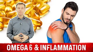 Omega3 and Omega6 Fatty Acids Food Sources and Inflammation [upl. by Animrelliug]