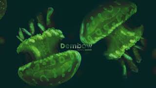 Danny Ocean  Dembow Official Audio [upl. by Wivina]