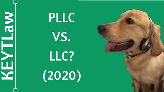 Arizona PLLC vs LLC Differences Explained 2024 [upl. by Maker610]