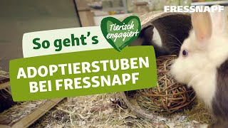 Ein Haustier aus dem Tierheim adoptieren Mit der Fressnapf Adoptierstube [upl. by Haorbed]