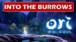 Into the Burrows  Side Quest  Midnight Burrows  Ori and the will of the wisps [upl. by Ameekahs]