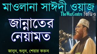 জান্নাতের নেয়ামত। Maulana Delwar Hossain Saidi Waz। [upl. by Aeresed]