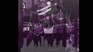 Pooh Shiesty  Federal Contraband Chopped amp Screwed [upl. by Uphemia845]