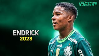 Endrick 2023 ● Palmeiras ► Magic Skills amp Goals  HD [upl. by Assillam]