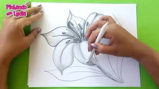 Dibujos A Lápiz Como Dibujar Una Flor  How To Draw A Flower [upl. by Seleta]