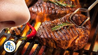 Why the Maillard Reaction Makes Everything Delicious [upl. by Orly]