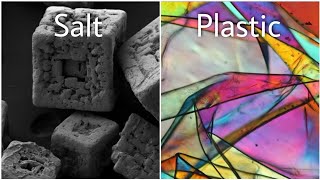 14 common objects under a microscope [upl. by Denni]