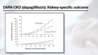 SGLT2 Inhibitors in Chronic Kidney Disease [upl. by Isabel909]