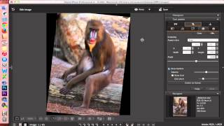 Digital Photo Professional DPP 4 Editing Images [upl. by Eryn]