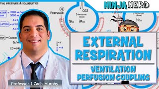 Respiratory  External Respiration Ventilation Perfusion Coupling [upl. by Zampino]