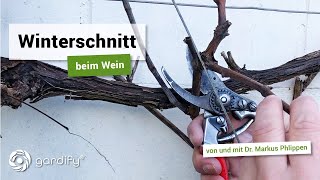 Winterschnitt beim Wein  Weinreben richtig schneiden  gardify Tipps [upl. by Ardnnaed]