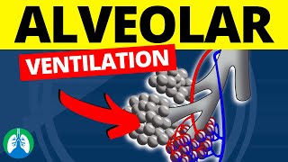 Alveolar Ventilation Medical Definition  Quick Explanation [upl. by Williamsen]