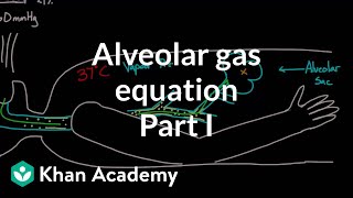 Alveolar gas equation  part 1  Respiratory system physiology  NCLEXRN  Khan Academy [upl. by Iatnahs555]